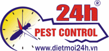 Giới thiệu về công ty diệt mối và kiểm soát côn trùng 24h cong-ty-diet-moi-24h
