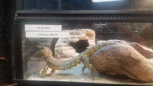 Pet Store «Cape Horn Pets», reviews and photos, 673 Lombard Rd, Red Lion, PA 17356, USA