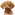 Nicolas