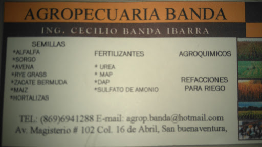 AGRIPECUARIA BANDA, 25506, Magisterio 102, Zona Centro, San Buenaventura, Coah., México, Proveedor de semillas | COAH