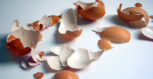 pressure cooker egg shells