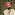 Daljeet