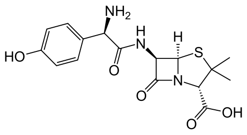 Structure  Of Amoxicillin