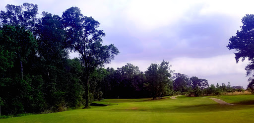 Golf Course «Black Bear Golf Club», reviews and photos, 253 Black bear Dr, Delhi, LA 71232, USA