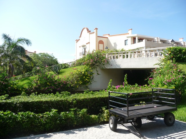 Día 6 - Uno más disfrutando del hotel - Riviera Maya 2010: The Royal Suites Yucatan by Palladium (1)