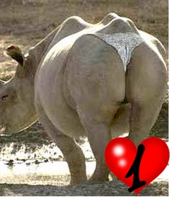 imagenes de corazones graciosas}