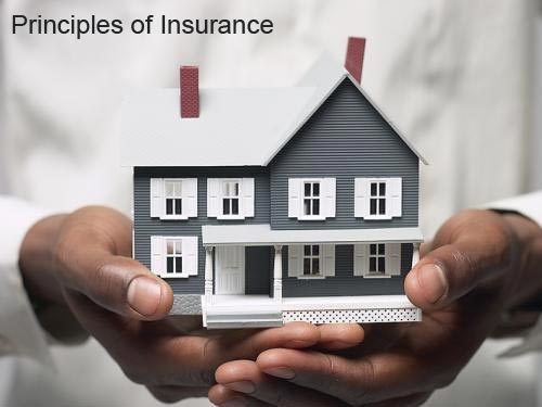Image result for Principles of Insurance
