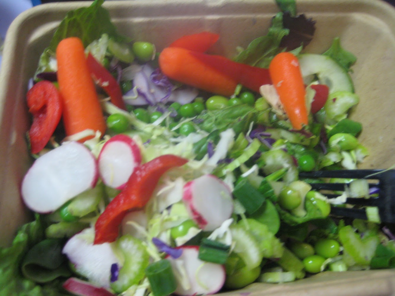 RAW RECIPE (photos)