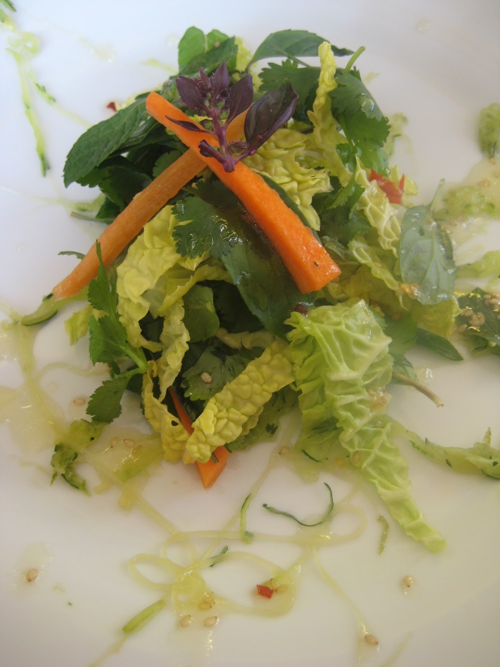 RAW RECIPE (photos)
