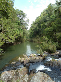 Eungella National Park