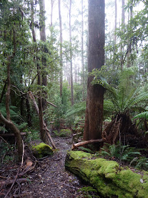 Tasman Trail