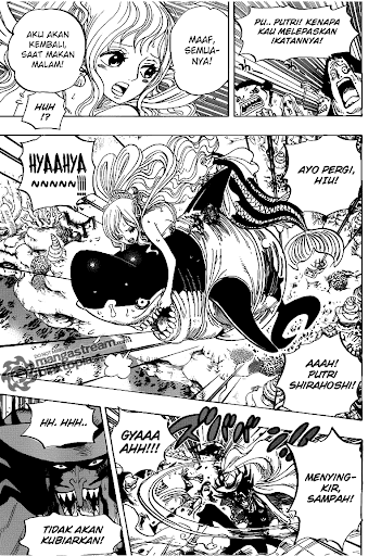One Piece 618 page 14