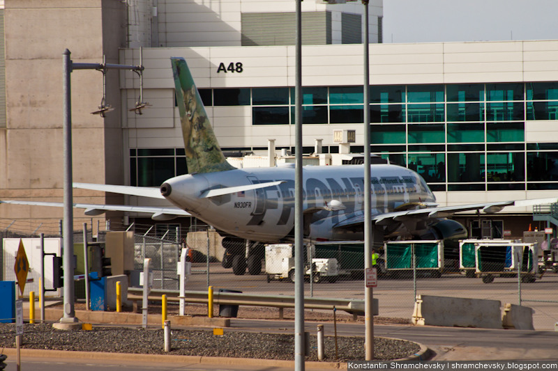 USA Colorado Denver International Airport Frontier Airlines Airbus A319 N930FR Lioness Lola and Cub Max США Колорадо Денвер Международный Аэропорт Фронтир Эйрлайнз Эйрбас Аэробус А319 львица Лола львёнок Макс