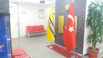 YDS Academy İngilizce Kursu Adana Şubesi