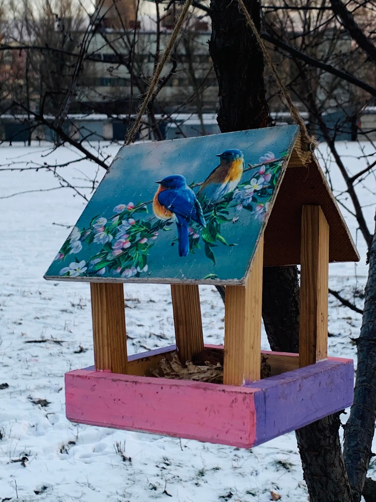 Как украсить кормушку