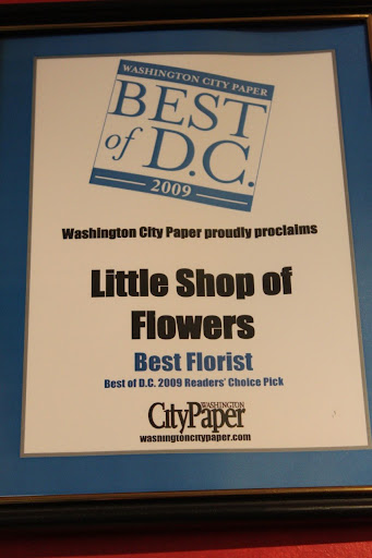 Florist «Little Shop of Flowers», reviews and photos, 2421 18th St NW, Washington, DC 20009, USA