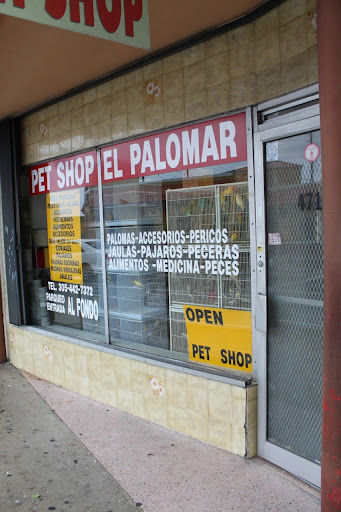 Pet Store «El Palomar Pet Shop Inc», reviews and photos, 4712 W Flagler St, Coral Gables, FL 33134, USA