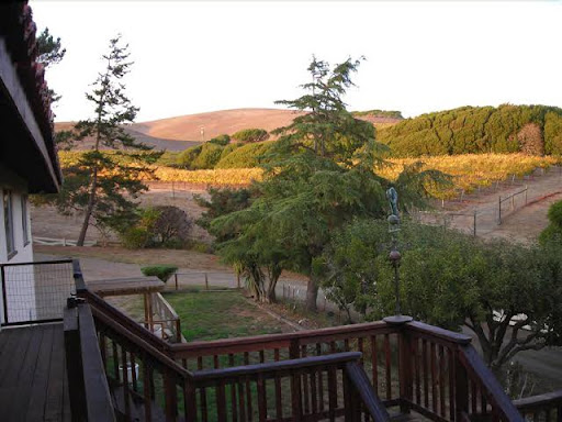 Bed & Breakfast «Point Reyes Vineyards», reviews and photos, 12700 Shoreline Hwy, Point Reyes Station, CA 94956, USA