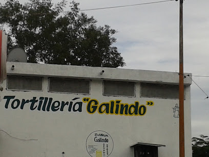 Tortilleria Galindo