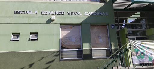 Escuela Edmundo Vidal Cárdenas, D-357 124, Vicuña, Región de Coquimbo, Chile, Escuela | Coquimbo