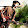 ikhsan efendy ikhsan efendy's profile photo