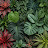 Jesse Elkin avatar image