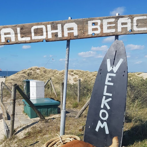 Aloha Beach logo