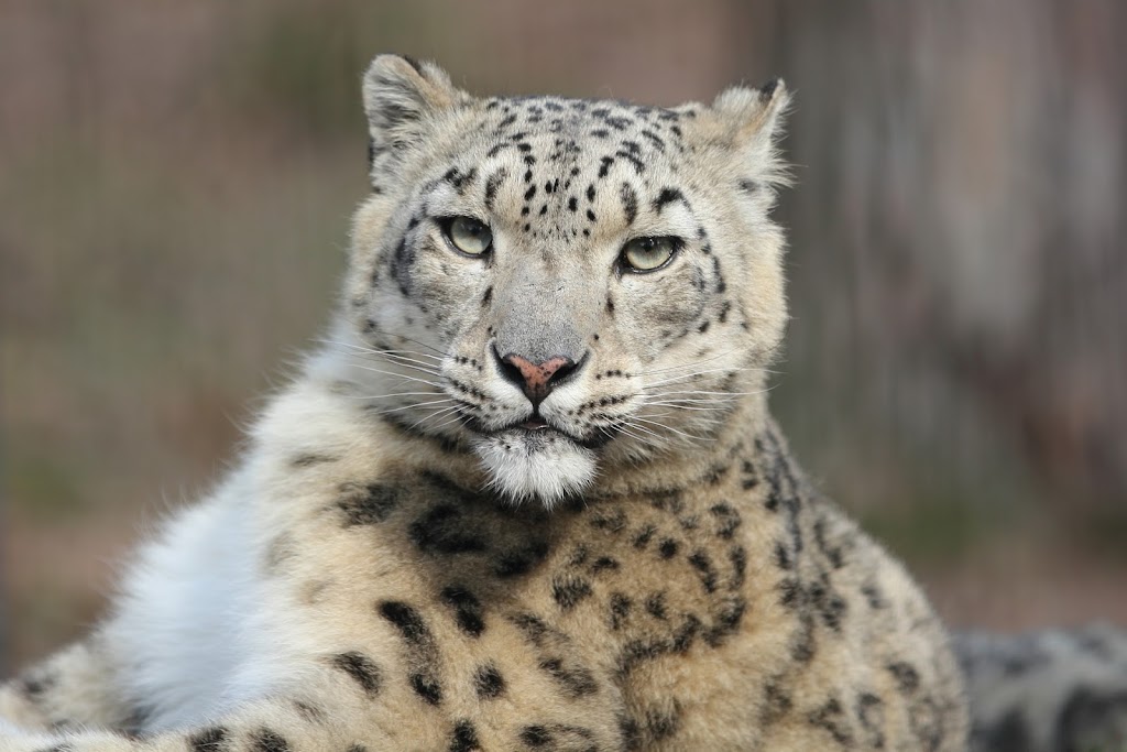 IMAGE: https://lh4.googleusercontent.com/--77V64jDvP8/T2YuwBQB7UI/AAAAAAAADVI/Q39_23_y8To/s1024/IMG_2108-1920.JPG