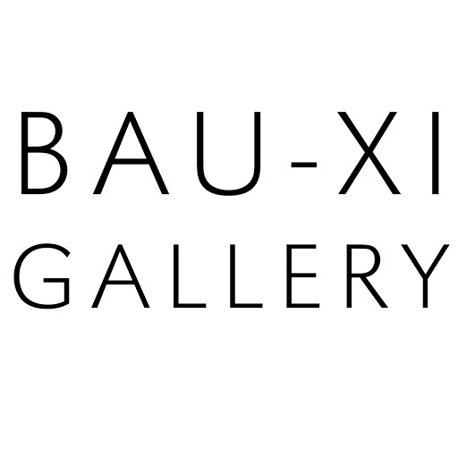 Bau-Xi Photo logo