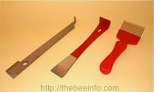 14. Beekeeping For Beginners - How To Start Beekeeping For Free: 6 Steps To Start Honey Beekeeping
