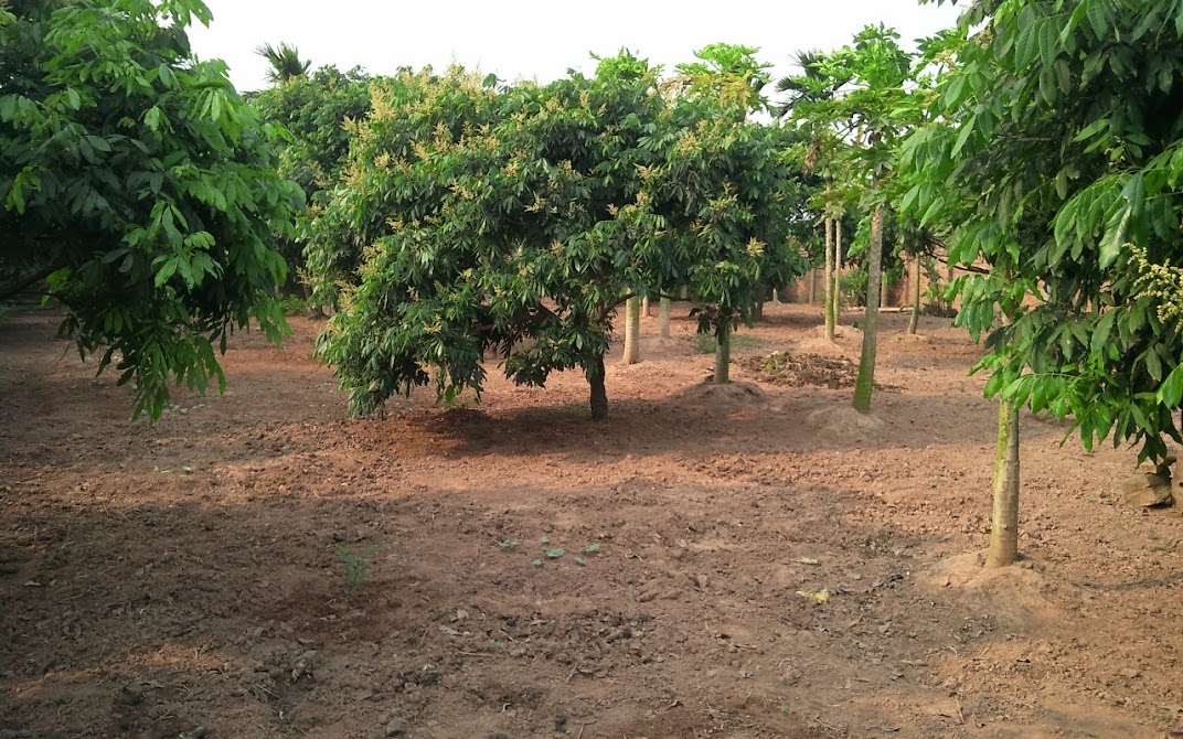 Dự án 1700 m2 ở Đại Mỗ - Hà Nội. Xin ý kiến các bác