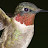 Frank Boston avatar image
