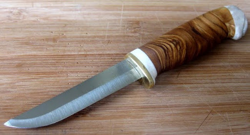 maslina.jpg