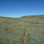 Mt Townsend Track near Main Range Track (267086)