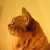masato44gm
