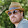 Patrick T. Rousseau Patrick T. Rousseau's profile photo