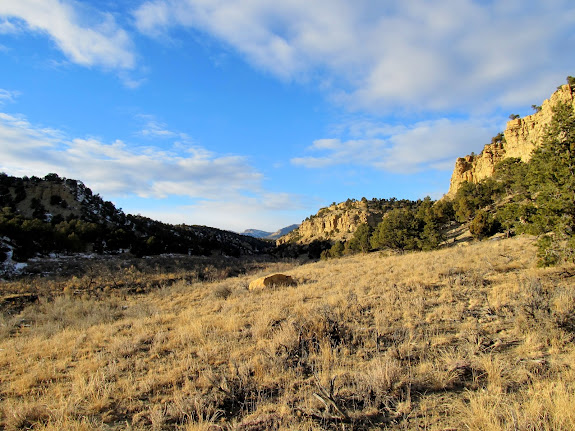 Unnamed canyon near the North Fork of Gordon Creek