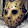 SFBay69 SFBay69's profile photo