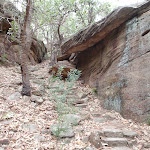 Stairs through rock formations (73623)