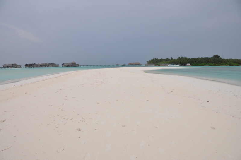 Maldivas y regreso (8-12 de diciembre de 2010) - Infierno Y Paraíso, India Y Maldivas (2010) (15)