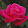Karen Tully Karen Tully's profile photo