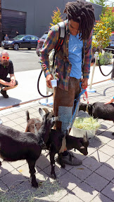 Belmont Goats were a special guest at the Portland Monthly's Country Brunch 2014 at Castaway benefiting Zenger Farm
