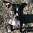 Brad Simcock avatar image