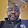 Bennie Lee Riley, Jr Bennie Lee Riley, Jr's profile photo