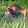 Grigoryi1 Grigoryi1's profile photo