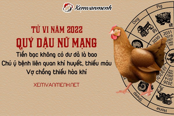 tu-vi-tuoi-quy-dau-nam-2022-nu-mang-1993