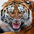 Svetlana Sokolov avatar image