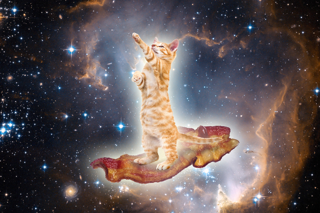 Space Cat On Bacon