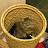 Xerxes H avatar image