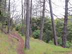 Coal Canyon Trail